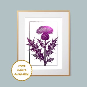Hand Drawn Iridescent Purple Scottish Thistle (Onopordum acanthium) Flower with Iridescent Graphite Border Botanical Line Art Foil Print