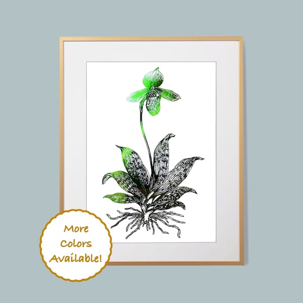 Hand Drawn Iridescent Lime Green Peace Lady Slipper Orchid Flower (Paphiopedilum)  Botanical Line Art Foil Print