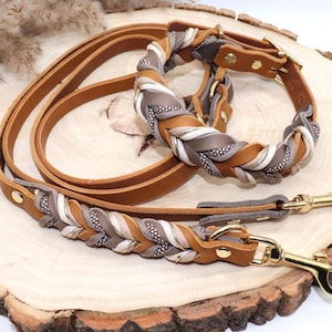 Leather dog collar and leash set, braided with paracord in beige and taupe image 2