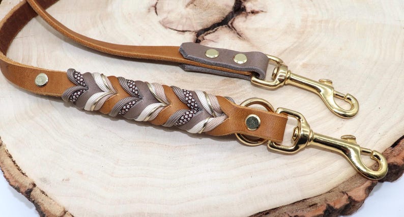 May include: A brown leather dog leash with a braided accent in brown, beige, and white. The leash has two gold metal clips.