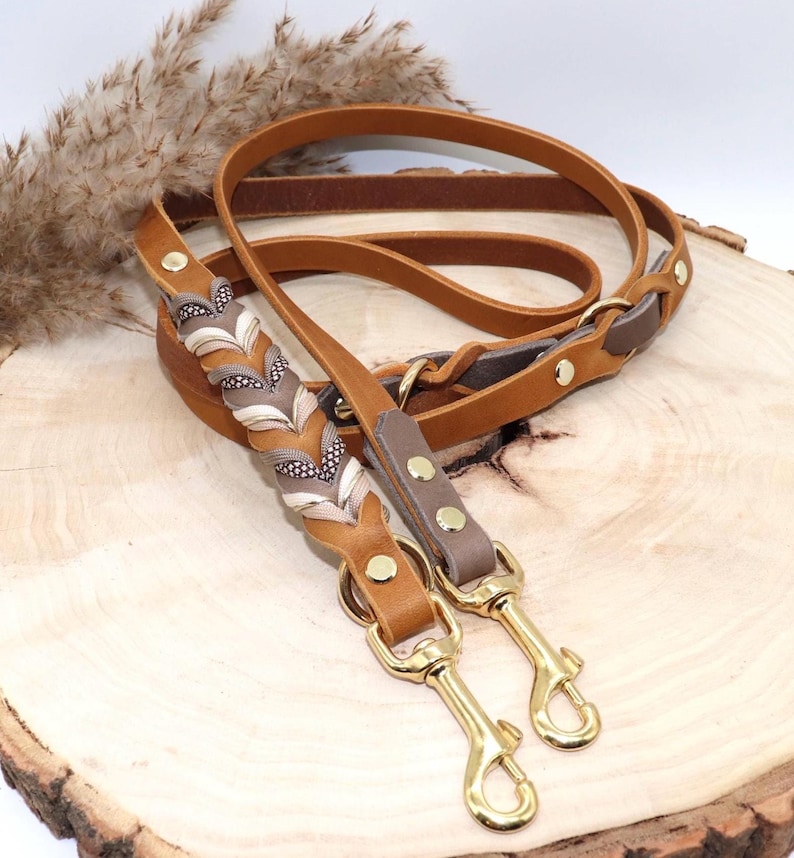 May include: A brown leather dog leash with a braided accent in brown, white, and beige. The leash has two gold metal clips.