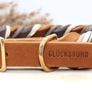 Leather dog collar and leash set, braided with paracord in beige and taupe image 3