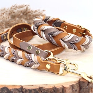 Leather dog collar and leash set, braided with paracord in beige and taupe image 1