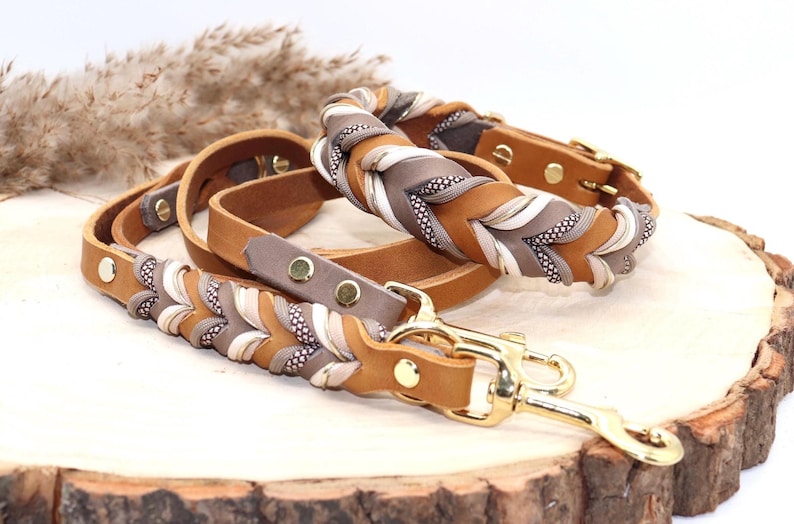 Leather dog collar and leash set, braided with paracord in beige and taupe image 1
