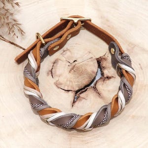Leather dog collar and leash set, braided with paracord in beige and taupe image 5