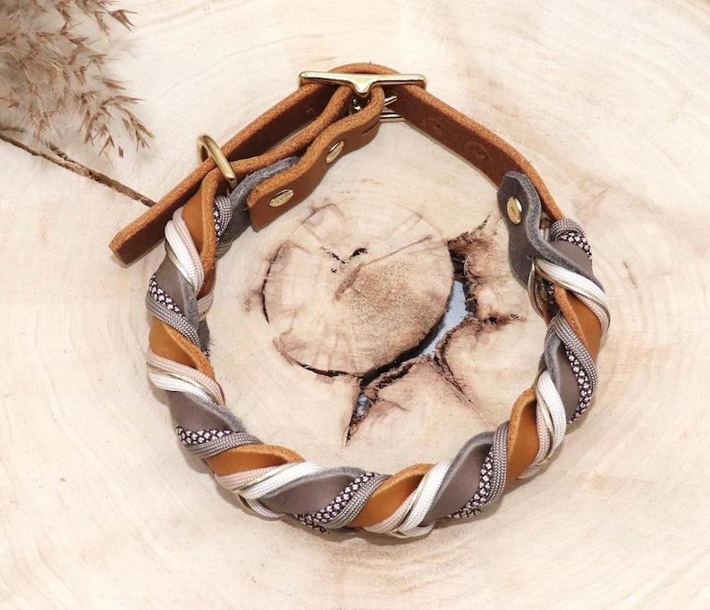 Leather dog collar and leash set, braided with paracord in beige and taupe image 5