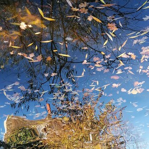 Watercolours #2 / fine art photo printed on textural Hahnemühle Photo Rag paper
