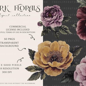 May include: A digital clipart collection of 50 dark floral illustrations. The flowers are in shades of purple, yellow, and burgundy with green leaves. The flowers are on a dark gray background. The text "DARK FLORALS clipart collection" is at the top of the image. The text "COMMERCIAL LICENSE INCLUDED (FULL TERMS OF USE IN DESCRIPTION)" is in the middle of the image. The text "50 PNGS TRANSPARENT BACKGROUND" is below the license text. The text "5000 X 5000 PIXELS HIGH RESOLUTION 300 DPI" is below the background text. The text "YOU WILL RECEIVE THE FILES WITHOUT THE WATERMARK" is at the bottom of the image.