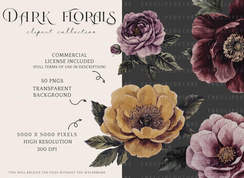 May include: A digital clipart collection of 50 dark floral illustrations. The flowers are in shades of purple, yellow, and burgundy with green leaves. The flowers are on a dark gray background. The text "DARK FLORALS clipart collection" is at the top of the image. The text "COMMERCIAL LICENSE INCLUDED (FULL TERMS OF USE IN DESCRIPTION)" is in the middle of the image. The text "50 PNGS TRANSPARENT BACKGROUND" is below the license text. The text "5000 X 5000 PIXELS HIGH RESOLUTION 300 DPI" is below the background text. The text "YOU WILL RECEIVE THE FILES WITHOUT THE WATERMARK" is at the bottom of the image.