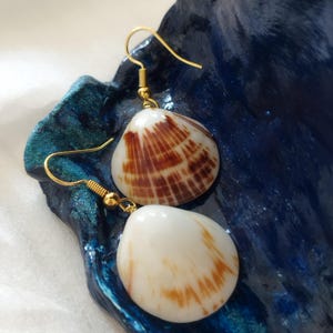 Unique shell earrings