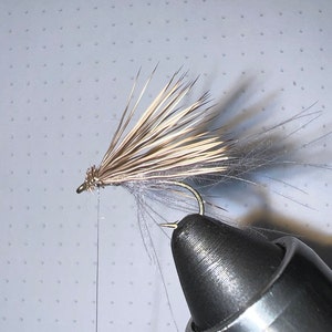 May include: A close-up of a fly fishing lure with brown and white feathers tied to a gold hook.