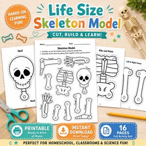 Life Size Skeleton Printable, Human Body Anatomy Craft, Skeletal System Science Activity, Kids Classroom & Homeschool PDF