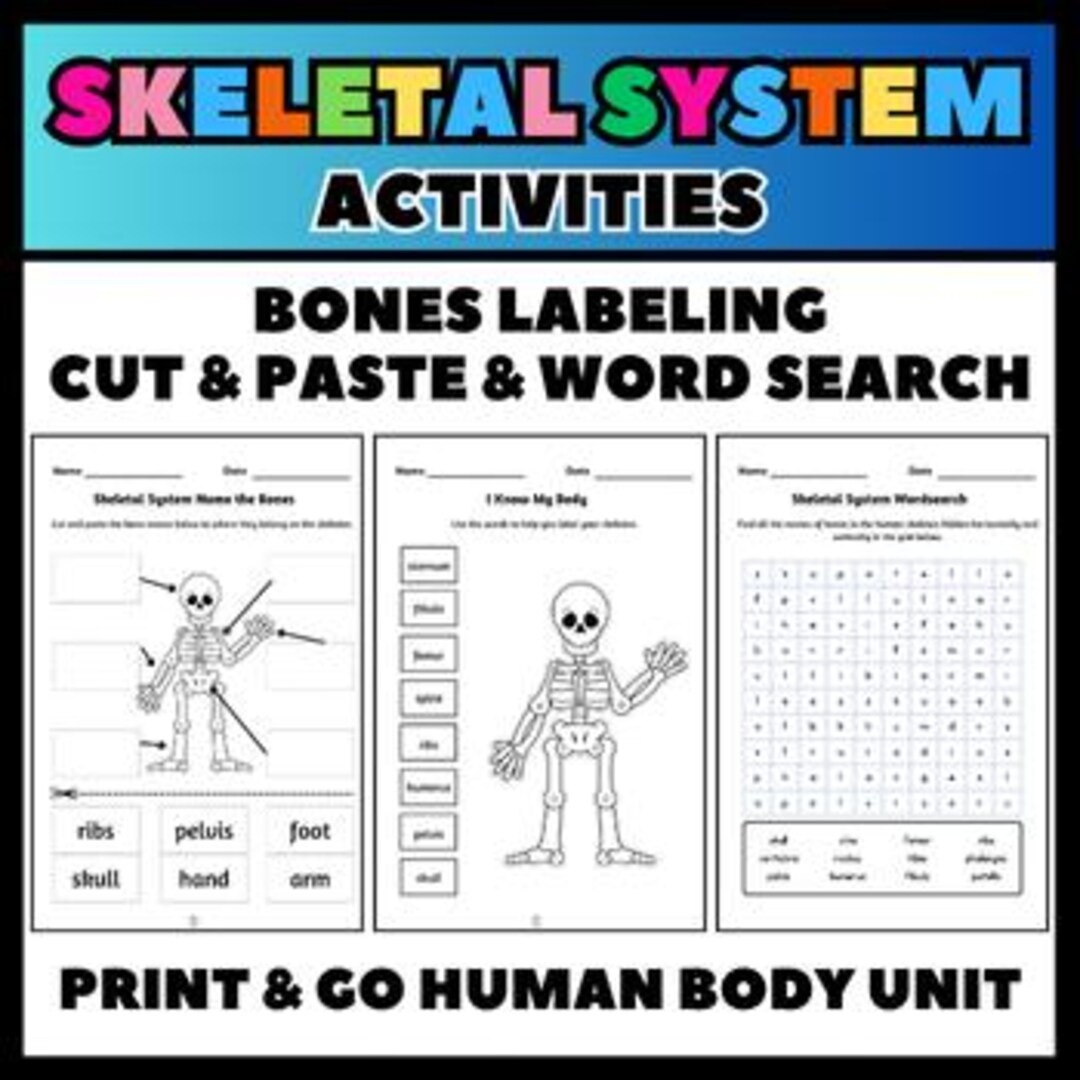 Skeletal System Activities | Labeling & Cut and Paste Bones - Etsy
