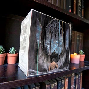 May include: A decorative book titled "Court of Thorns and Roses" with a fantasy illustration of a winged creature and a starry night scene. The book is on a dark wooden shelf with other books, small potted succulents, and a lit candle. The shelf is part of a bookcase.