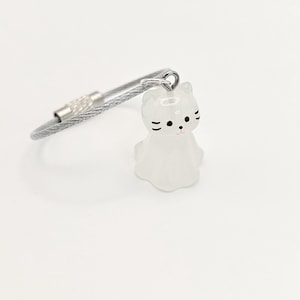 Cat Lover Glow in the Dark Luminous Cat Keychain Durable Steel Easy Screw Keyring for Child or Adult Free Shipping