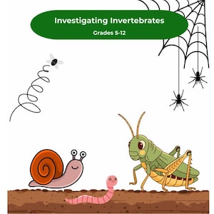 Può includere: Illustrazione colorata con una lumaca, un verme e una cavalletta su una superficie marrone. L'immagine include una ragnatela con ragni, una mosca e il testo "Investigating Invertebrates Grades 5-12" in un banner verde.