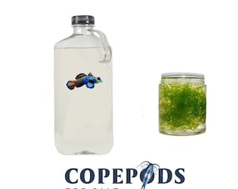 Refugium Starter Kit 32oz Copepods 3 Species Mix, 1 Cup Clean Chaeto + Free Ship