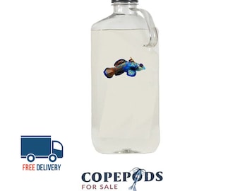 32oz Copepods - Free Fast Shipping - With phyto in bottle, 4 Species!