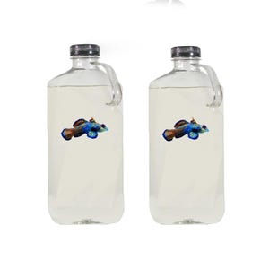 1/2 Gal Copepods - Free Fast Shipping - With phyto in bottle, 5 Species!