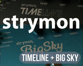 Strymon Kitchen Sink