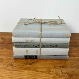 Grijze hardcover boekenbundel woondecoratie lezing minimalistische boekenplank esthetiek echt boek salontafel franse boeken set van 5