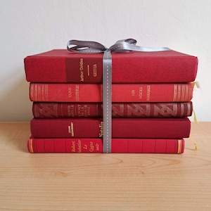 Rode boekenset met harde kaft: minimalistisch interieur, leesboekenplank (set van 5)