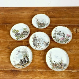 AK Kaiser Germany 4” Baby Bird Coasters Complete Set of 6 Plates Vintage