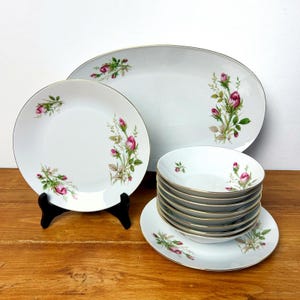 Set of Dessert Plates Bavaria Qualitats Porczellan/ Made in Germany/ Roses Design Collectible Porcelain/ 11 items