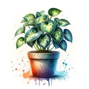 Hoya Pflanze druckbare Kunst - exotisches tropisches Aquarell - High-Res Digital - Üppige 16 x 16 botanische Illustration