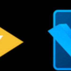 May include: A graphic with two arrows pointing to the right. The first arrow is red and orange and says "FAST DELIVERY". The second arrow is yellow. The second graphic is a blue checkmark inside a blue square with the text "QUALITY GUARANTEED".