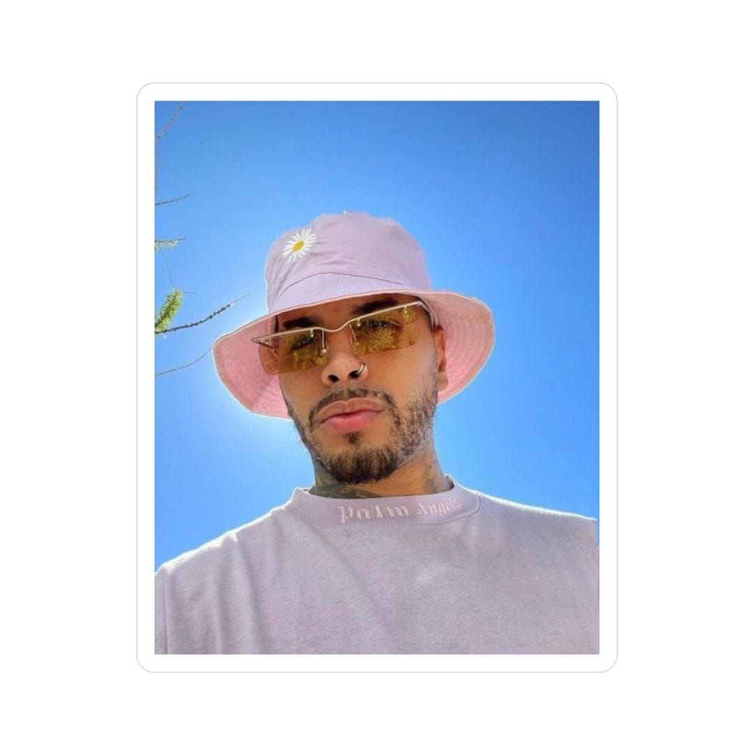 Rauw Alejandro Pink Daisy Bucket Hat Sticker Vinyl Decal For Laptop Il 1080xN.6449246405 572i