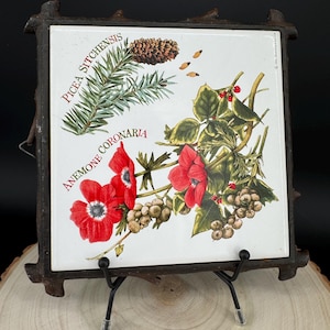 Peut inclure: Un carreau en céramique carré présentant des illustrations botaniques de Picea sitchensis avec une pomme de pin et d'Anemone coronaria avec des fleurs rouges. Le carreau est inséré dans un cadre brun foncé texturé imitant des branches.