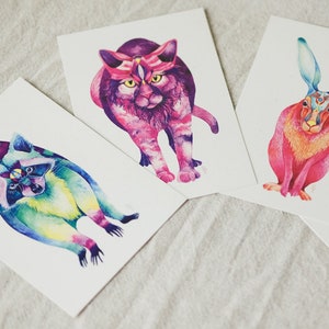 Animaux colorés • Lot de 4 cartes postales psychédéliques