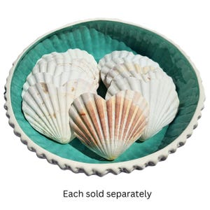 Natural Heart Scallop Shells (2 PC): Coastal Wedding Decor