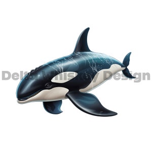 Killer Whale svg, Orca Clipart, Ocean Svg, Fish png, Silhouette, Animal png, Instant Download, Teacher SVG