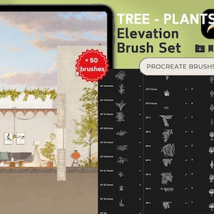 Vector Elevation Tree Stamps | Procreate Brush Set | Architectural Tree Stamps | Digital Tree Stamps for Illustration | Landscape Design
