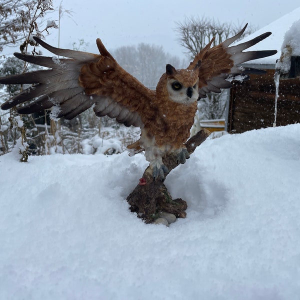 Eule mit ausgebreiteten Flügel sitzend auf dem Baumstamm Dekoration Vogel