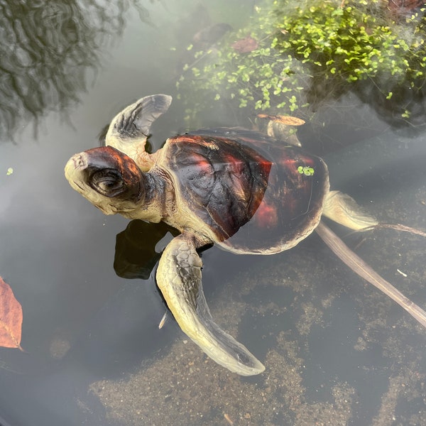 Wasserschildkröte Deko Teich Kleine Gartenfigur Reptil