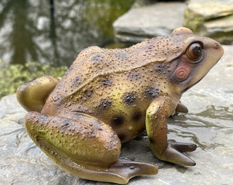 Frosch Deko Teich Teich Gartenfigur Lebensechte Kröte