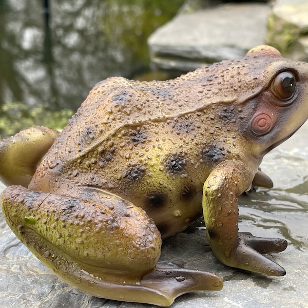 Frog decoration pond pond garden figure lifelike toad