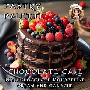 Chocoladetaart: lagen chocoladetaart, vulling van chocolademousseline en chocoladeganache Digitale stockfoto - met recept!!