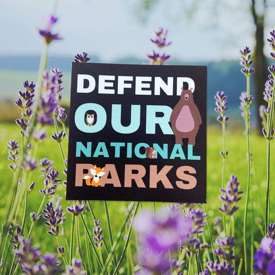 Defend Our National Parks Sticker - Cute Animal Vinyl Decal, Outdoorsy ...