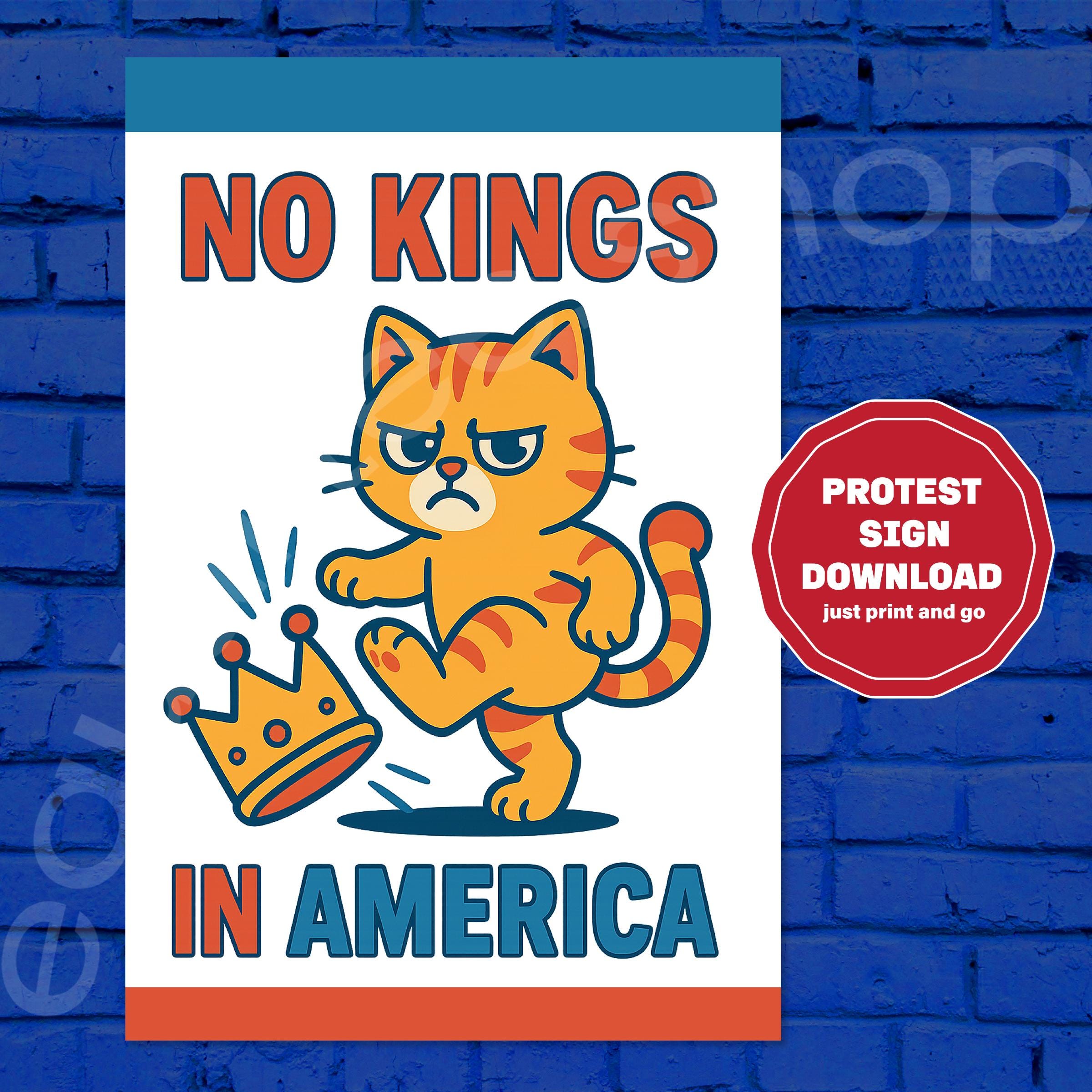 Grumpy Cat No KINGS in America Protest Sign - Printable Protest Poster ...