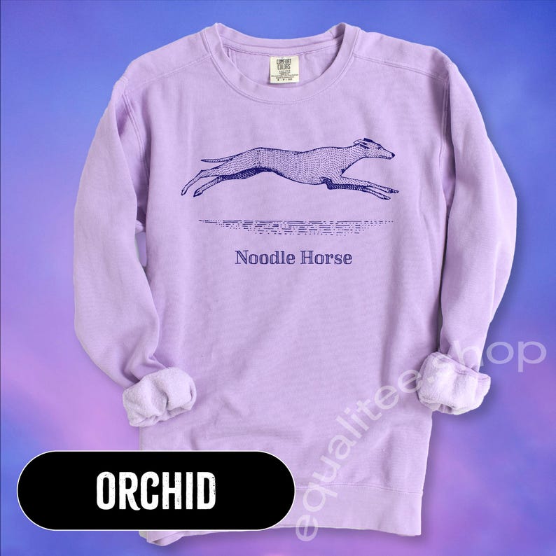 Pode incluir: Camisola lil&aacute;s com um gr&aacute;fico de um galgo a correr e as palavras "Noodle Horse". A camisola tem gola redonda e mangas compridas com punhos canelados. A palavra "ORCHID" est&aacute; impressa num oval preto.