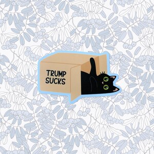 May include: A black cat peeks out of a cardboard box with the text "TRUMP SUCKS" printed on the side. The box is on a white background with a blue floral pattern.
