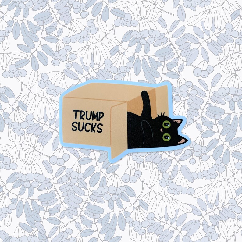 May include: A black cat peeks out of a cardboard box with the text "TRUMP SUCKS" printed on the side. The box is on a white background with a blue floral pattern.