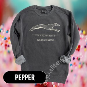 Pode incluir: Camisola cinza escuro com um gr&aacute;fico branco de um c&atilde;o a correr e as palavras "Noodle Horse" por baixo. A palavra "PEPPER" est&aacute; num ret&acirc;ngulo preto na parte inferior. A camisola tem gola redonda e mangas compridas com punhos.