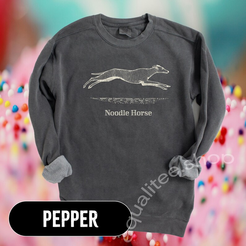 Pode incluir: Camisola cinza escuro com um gr&aacute;fico branco de um c&atilde;o a correr e as palavras "Noodle Horse" por baixo. A palavra "PEPPER" est&aacute; num ret&acirc;ngulo preto na parte inferior. A camisola tem gola redonda e mangas compridas com punhos.
