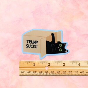 May include: A black cat with green eyes peeks out of a cardboard box with the text "TRUMP SUCKS" printed on it. The cat is upside down in the box.