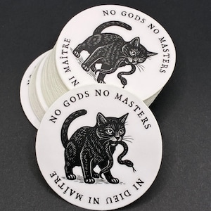 Pegatina de gato "Sin dioses ni amos", "Ni Dios ni amo", pegatina punk anarquista, gato con serpiente, calcomanía de rebelde político, regalo antiautoritario